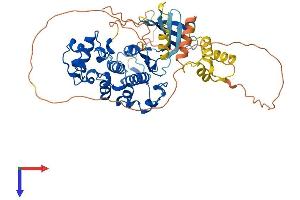 AlphaFold protein structure predicition of Human Recombinant CDK16 Protein, UniprotID Q00536