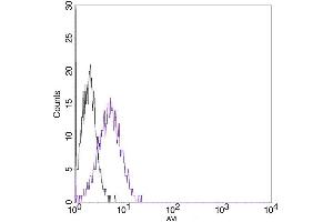 Flow cytometric analysis of non-transfected CHO cells (a) and Avi fusion protein transfeced CHO cells (b) using Avi Antibody (ABIN1574261). (Avi-Tag anticorps)