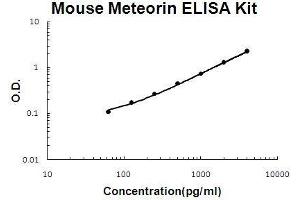Mouse Meteorin/METRN PicoKine ELISA Kit standard curve (METRN Kit ELISA)