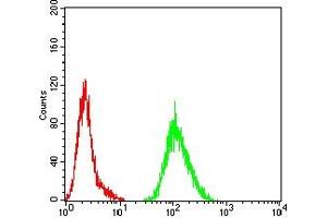 anti-TIA1 Cytotoxic Granule-Associated RNA Binding Protein (TIA1) (AA 1-215) antibody