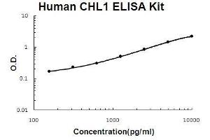 Human CHL1/L1CAM-2 PicoKine ELISA Kit standard curve (CHL1 Kit ELISA)