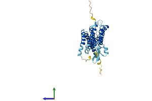 AlphaFold protein structure predicition of Human Recombinant FITM1 Protein, UniprotID A5D6W6
