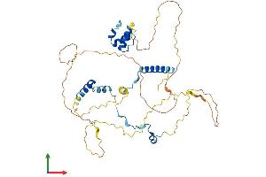 AlphaFold protein structure predicition of Mouse Recombinant Nusap1 Protein, UniprotID Q9ERH4
