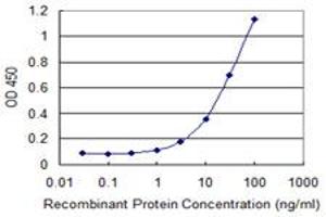 Detection limit for recombinant GST tagged MSRB2 is 1 ng/ml as a capture antibody. (MSRB2 anticorps  (AA 102-201))