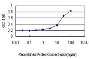 Detection limit for recombinant GST tagged STAU1 is approximately 0. (STAU1/Staufen anticorps  (AA 401-496))