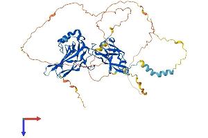 AlphaFold protein structure predicition of Mouse Recombinant Rela Protein, UniprotID Q04207