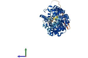AlphaFold protein structure predicition of Human Recombinant SLC6A2 Protein, UniprotID P23975