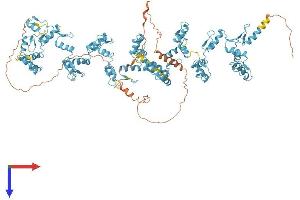 AlphaFold protein structure predicition of Human Recombinant ZNF836 Protein, UniprotID Q6ZNA1
