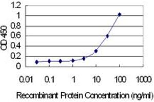 Detection limit for recombinant GST tagged GTSF1L is 1 ng/ml as a capture antibody. (GTSF1L anticorps  (AA 1-148))