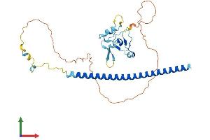AlphaFold protein structure predicition of Mouse Recombinant Thap7 Protein, UniprotID Q8VCZ3