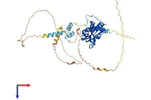 AlphaFold protein structure predicition of Mouse Recombinant Rexo4 Protein, UniprotID Q6PAQ4