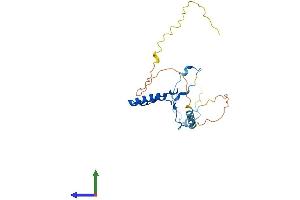 AlphaFold protein structure predicition of Mouse Recombinant Polr3g Protein, UniprotID Q6NXY9