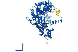 AlphaFold protein structure predicition of Human Recombinant RUVBL1 Protein, UniprotID Q9Y265