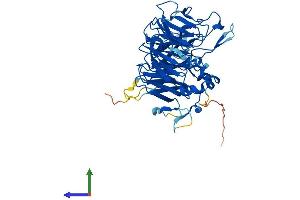 AlphaFold protein structure predicition of Human Recombinant PPP2R2C Protein, UniprotID Q9Y2T4