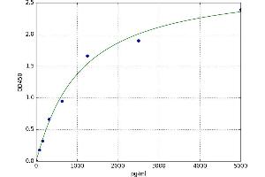 Basic Salivary Proline Rich Protein 2 (PRB2) ELISA Kit