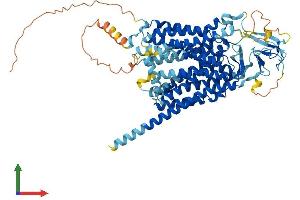 AlphaFold protein structure predicition of Mouse Recombinant Slco2b1 Protein, UniprotID Q8BXB6