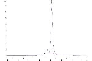 The purity of Human DSG3 is greater than 95 % as determined by SEC-HPLC.
