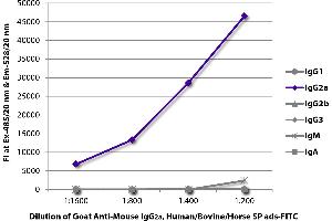 Goat anti-Mouse IgG2a antibody (FITC) - Preadsorbed