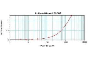 Image no. 1 for anti-PDGF-BB Homodimer antibody (Biotin) (ABIN465515) (PDGF-BB Homodimer anticorps (Biotin))