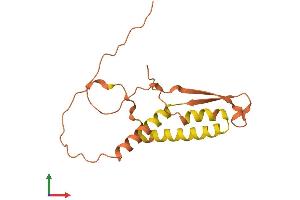 AlphaFold protein structure predicition of Human Recombinant FAM182A Protein, UniprotID Q5T1J6