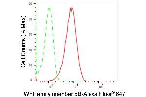 Flow cytometric analysis of Wnt family member 5B expression in HepG2 cells using Wnt family member 5B antibody (ABIN7800864), 1:2,000).