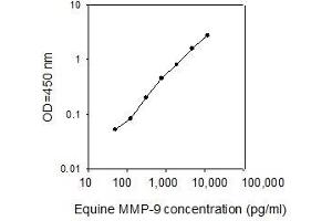 ELISA image for Matrix Metallopeptidase 9 (Gelatinase B, 92kDa Gelatinase, 92kDa Type IV Collagenase) (MMP9) ELISA Kit (ABIN2703360)