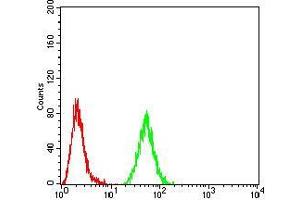 Flow cytometric analysis of MCF7 cells using RAD52 mouse mAb (green) and negative control (red).