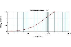 Sandwich ELISA using TSLP antibody (Thymic Stromal Lymphopoietin anticorps)