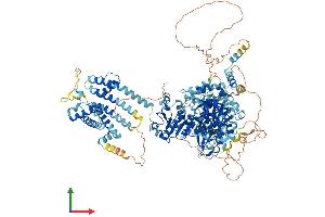 AlphaFold protein structure predicition of Mouse Recombinant Kcnt1 Protein, UniprotID Q6ZPR4