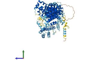 AlphaFold protein structure predicition of Human Recombinant AP5Z1 Protein, UniprotID O43299