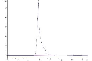 The purity of Human LRP-6 is greater than 95 % as determined by SEC-HPLC.