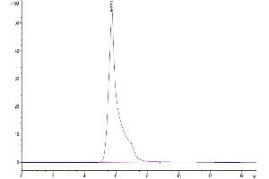 The purity of Human LRP-6 is greater than 95 % as determined by SEC-HPLC. (LRP6 Protein (AA 20-630) (mFc Tag))