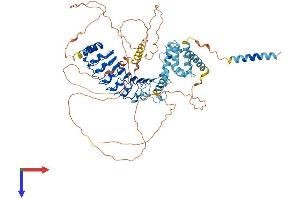 AlphaFold protein structure predicition of Mouse Recombinant Lrch4 Protein, UniprotID Q921G6