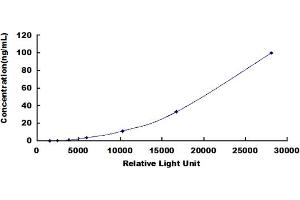 ELISA image for Secreted phosphoprotein 1 (SPP1) CLIA Kit (ABIN492191)