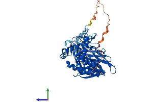AlphaFold protein structure predicition of Human Recombinant NPEPPSL1 Protein, UniprotID A6NEC2