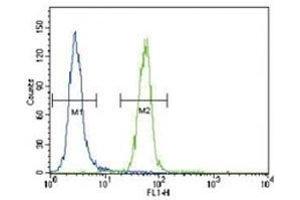FYN antibody flow cytometric analysis of HeLa cells (right histogram) compared to a negative control (left histogram).