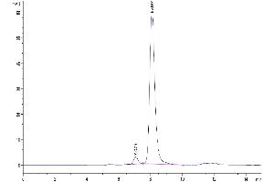 The purity of Cynomolgus PVRIG is greater than 95 % as determined by SEC-HPLC.
