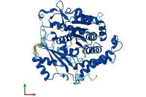 AlphaFold protein structure predicition of Mouse Recombinant Tubg1 Protein, UniprotID P83887