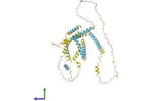 AlphaFold protein structure predicition of Mouse Recombinant Retreg1 Protein, UniprotID Q8VE91