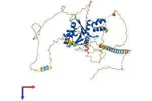 AlphaFold protein structure predicition of Mouse Recombinant Fam83d Protein, UniprotID Q9D7I8