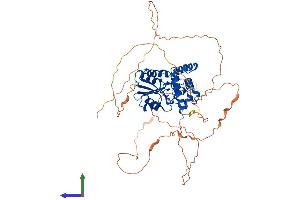 AlphaFold protein structure predicition of Human Recombinant EYA3 Protein, UniprotID Q99504