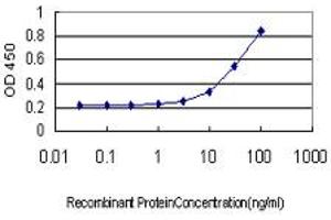 Detection limit for recombinant GST tagged POGK is approximately 1ng/ml as a capture antibody. (POGK anticorps  (AA 431-540))
