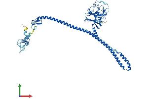 AlphaFold protein structure predicition of Mouse Recombinant Trim72 Protein, UniprotID Q1XH17