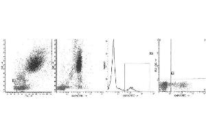 Image no. 1 for Mouse anti-Human Ig (Chain kappa), (Light Chain) antibody (FITC) (ABIN1107910) (Souris anti-Humain Ig (Chain kappa), (Light Chain) Anticorps (FITC))