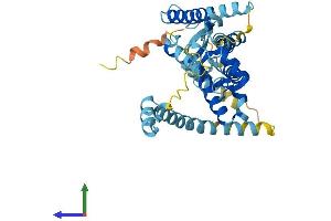 AlphaFold protein structure predicition of Human Recombinant PEX12 Protein, UniprotID O00623
