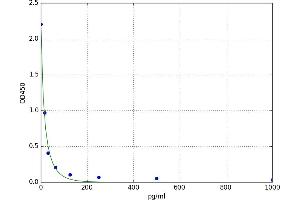 Leukotriene B4 (LTB4) ELISA Kit