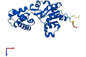 AlphaFold protein structure predicition of Human Recombinant HDHD3 Protein, UniprotID Q9BSH5