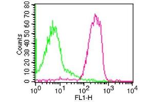 Flow Cytometry (FACS) image for anti-Intercellular Adhesion Molecule 3 (ICAM3) antibody (FITC) (ABIN5027874) (ICAM-3/CD50 anticorps  (FITC))