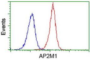 Image no. 4 for anti-Adaptor-Related Protein Complex 2, mu 1 Subunit (AP2M1) (AA 97-383) antibody (ABIN1491721)