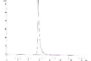 The purity of Biotinylated SARS-COV-2 Spike S1 is greater than 95 % as determined by SEC-HPLC.